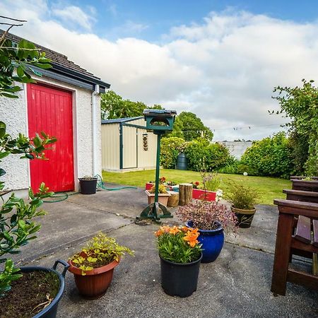 Simbavati B&B Ballina  Exteriör bild